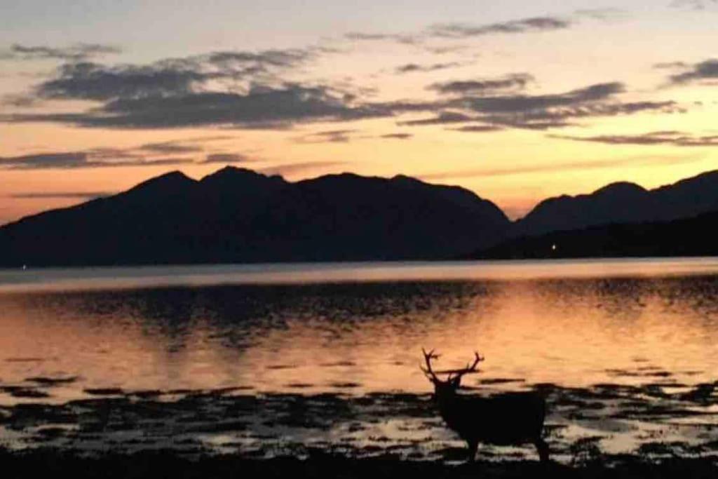 The Fox'S Den, Luxury Cosy Mini Lodge, Highlands North Ballachulish Extérieur photo