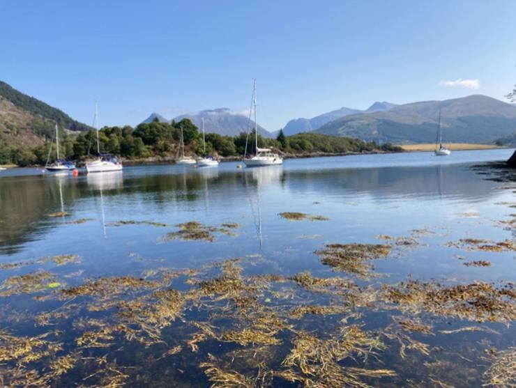 The Fox'S Den, Luxury Cosy Mini Lodge, Highlands North Ballachulish Extérieur photo
